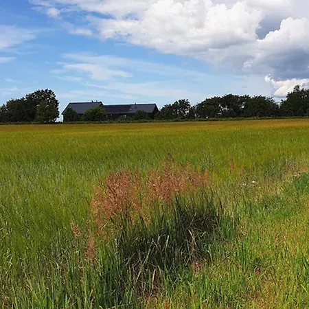 Mere. Private 25 Hectare Estate By The Sea * Pärnumaa